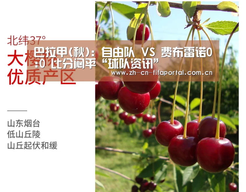 巴拉甲(秋): 自由队 VS 费布雷诺0:0 比分闷平“球队资讯”(图1) 世界杯