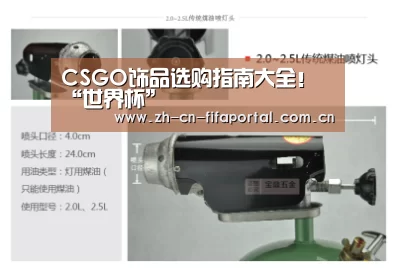 CSGO饰品选购指南大全!“世界杯”(图2) 赛事新闻
