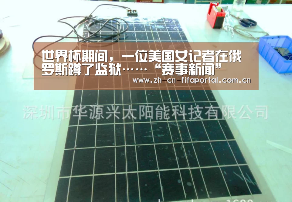 世界杯期间,一位美国女记者在俄罗斯蹲了监狱……“赛事新闻”(图1) 球队资讯
