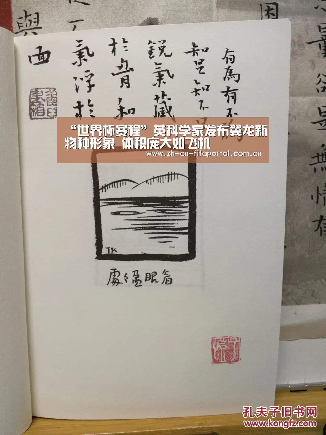 “世界杯赛程”英科学家发布翼龙新物种形象 体积庞大如飞机(图3) 世界杯