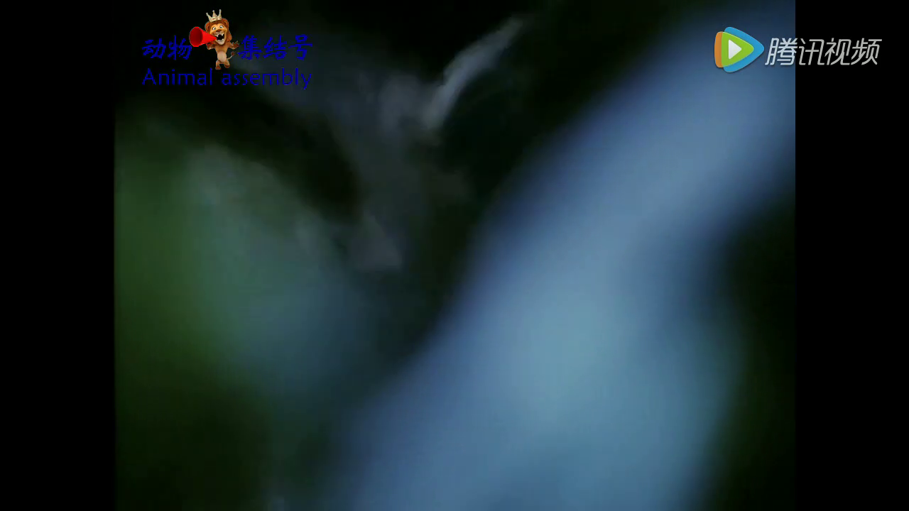 “世界杯赛程”英科学家发布翼龙新物种形象 体积庞大如飞机(图4) 世界杯赛程
