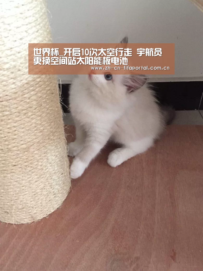 世界杯_开启10次太空行走 宇航员更换空间站太阳能板电池(图2) 赛事新闻