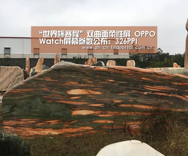 “世界杯赛程”双曲面柔性屏 OPPO Watch屏幕参数公布:326PPI(图1) 球队资讯
